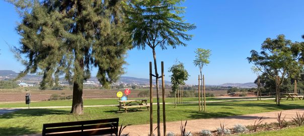 A picture of a park with a walking trail, trees, and a bench