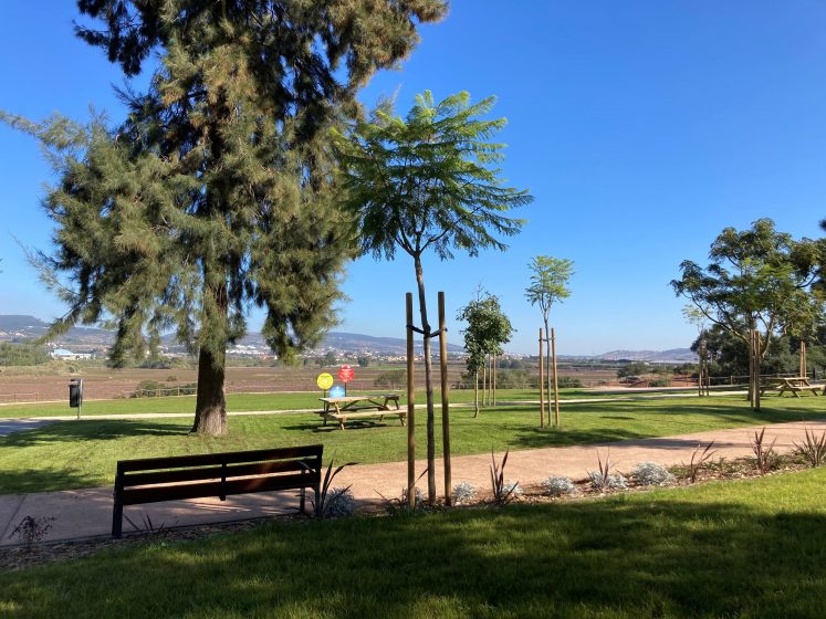 A picture of a park with a walking trail, trees, and a bench