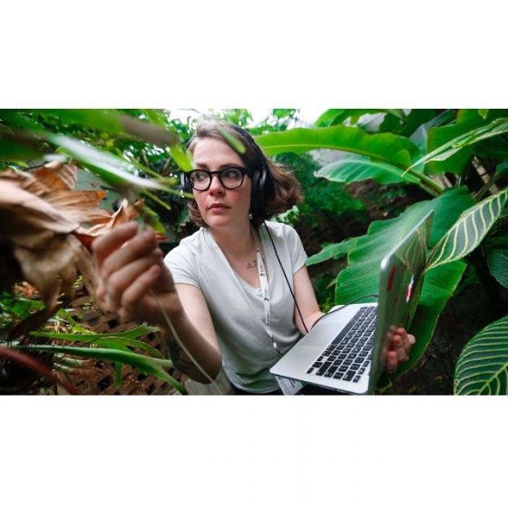 A picture of a woman with headphones and a laptop sitting amongst large, leafy plants