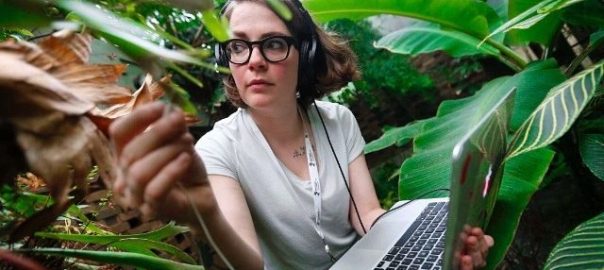 A picture of a woman with headphones and a laptop sitting amongst large, leafy plants