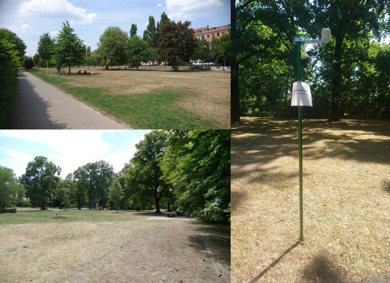 Three pictures: Upper left, a park with a paved walkway, trees, and people sitting in the half-dead grass. Lower left, a park with dead grass and green trees. Right, a pole with a sign taped to it in a field of dead grass