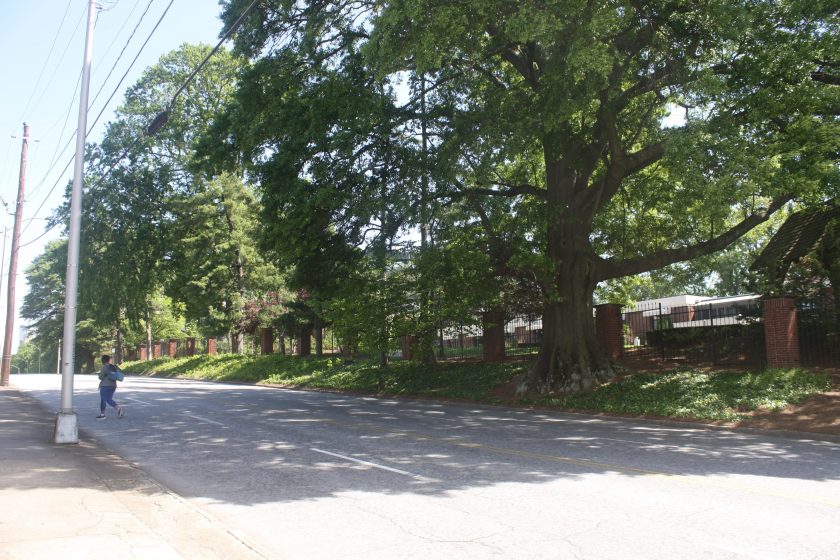 A picture of a street with trees and electric poles running alongside it