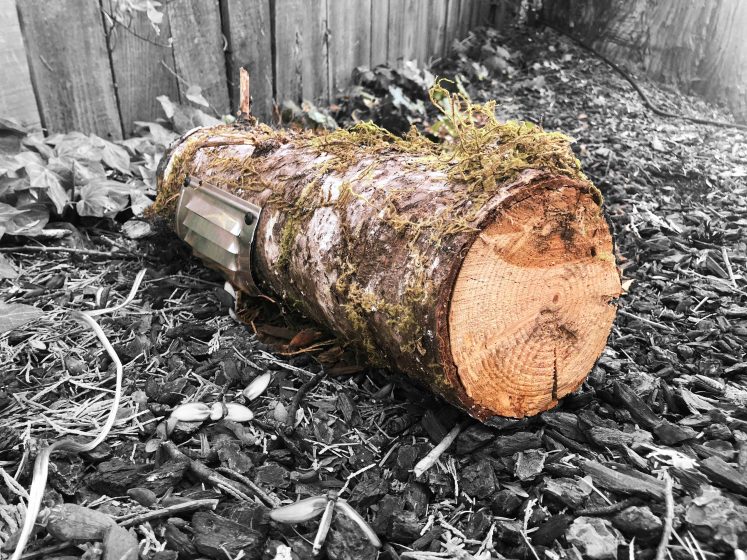 A small portion of log, cut cleanly on one side, with moss growing on top and a metal vent oddly attached to its side.