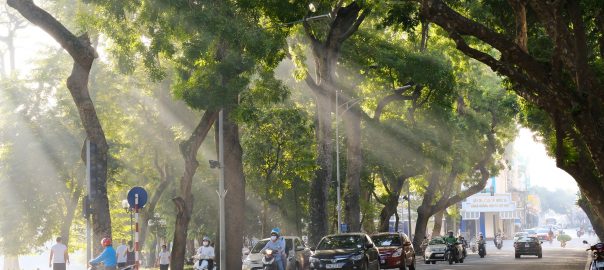 A picture of a tree-lined street with people and cars