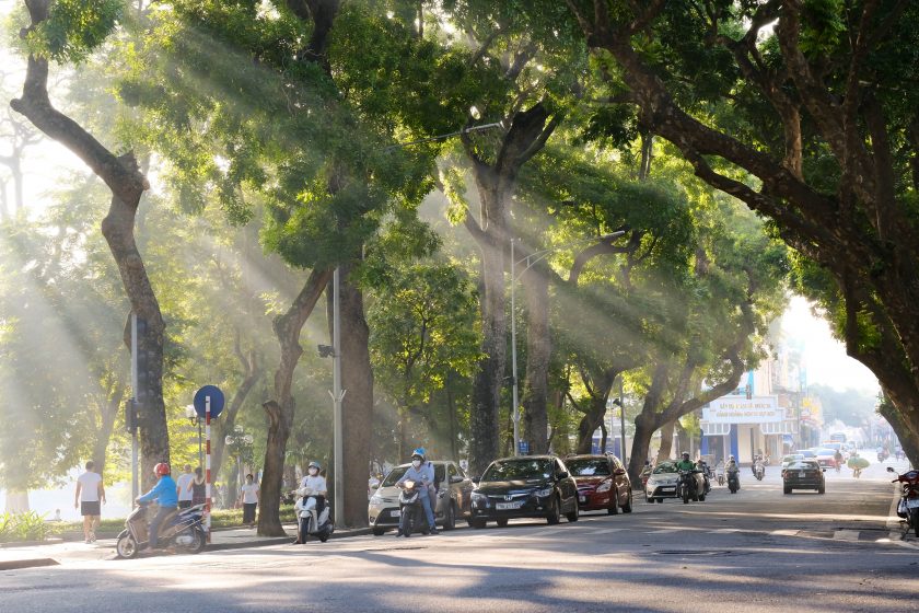 A picture of a tree-lined street with people and cars