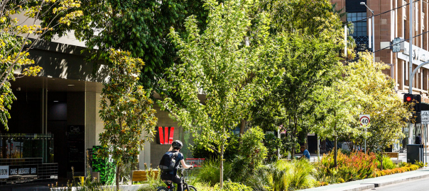 A picture of a person biking alongside a flowerbed with many trees, bushes, and flowers