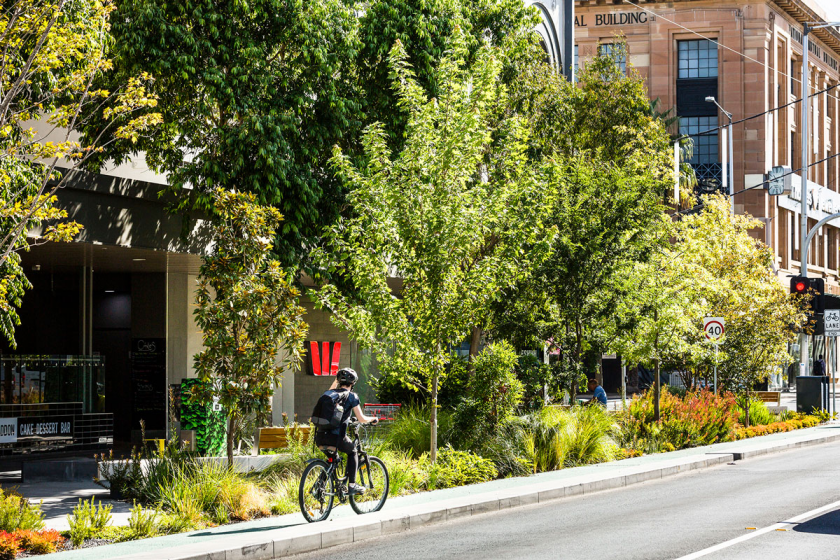 A picture of a person biking alongside a flowerbed with many trees, bushes, and flowers