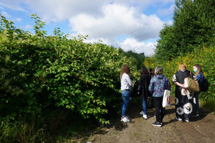 A picture of a group of people standing next to a tall bush-like plant