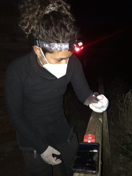 A woman outside at night wearing all black, a white mask and surgical gloves, holds a small bat in her left hand.