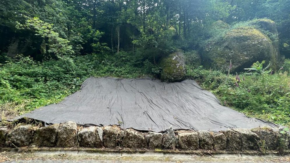 A picture of a black piece of mesh covering the ground in a forest