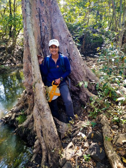 A woman in a ballcap and jeans stands at the foot of a large tree, its roots reaching into soil and green swampy waters.