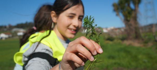 A picture of an older child in a Hi Vis vest smiling and holding a sprout towards the camera