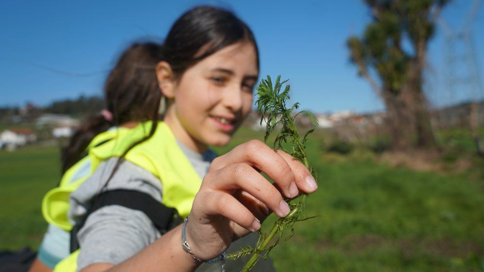 A picture of an older child in a Hi Vis vest smiling and holding a sprout towards the camera