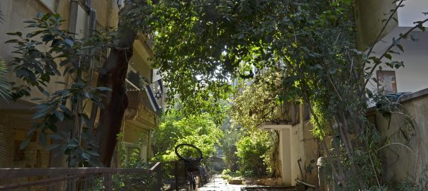 A picture of walkway between two buildings with planters on either side and with large trees shading the walkway