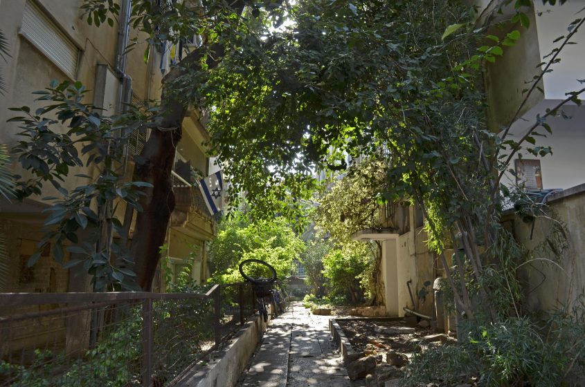 A picture of walkway between two buildings with planters on either side and with large trees shading the walkway