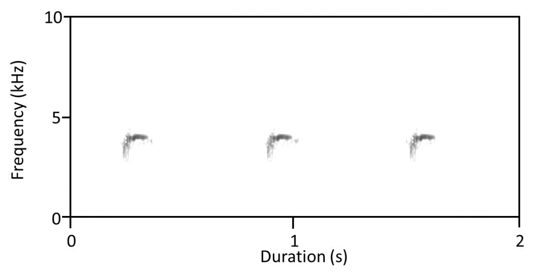 A soundwave graph depicting Frequency and Duration