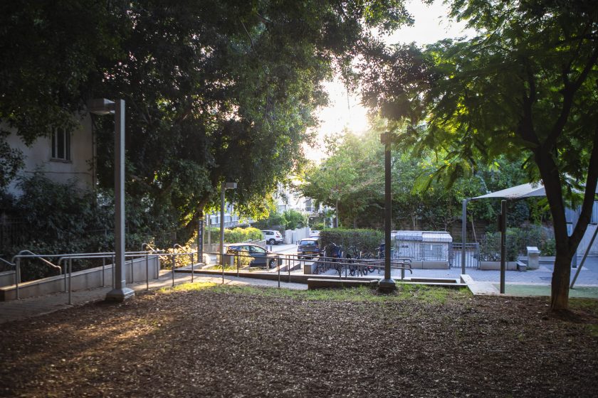 A picture of a fenced in yard with trees lining the outside