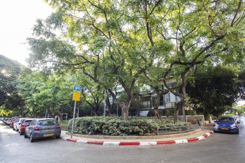 A picture of a red and white striped curb with trees and flowers growing within the circle