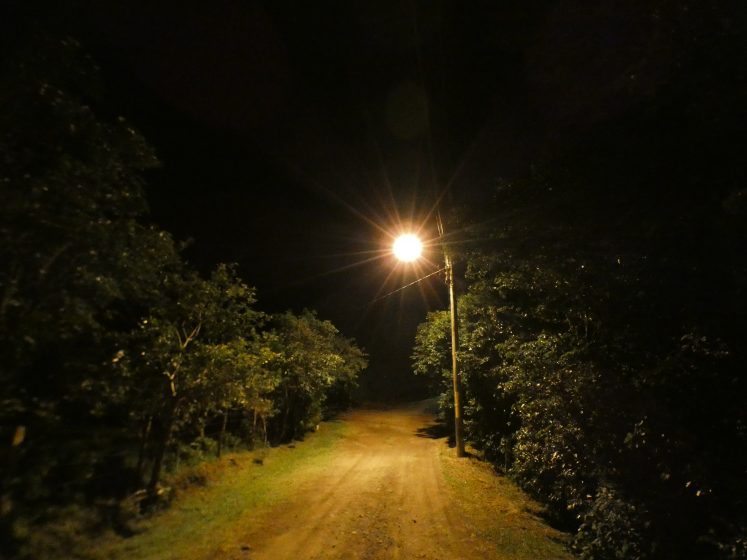 A picture of a dirt road with trees on either side at night with a single glowing streetlight