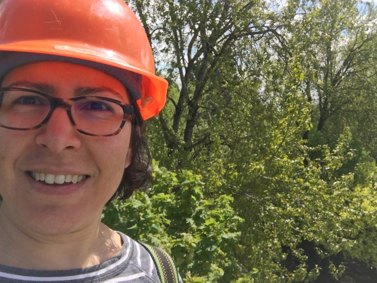 A woman outside in the forest on a sunny day wearing an orange hard hat