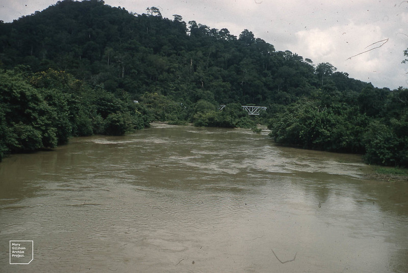 A small forested mountain with a wide brown river in the foreground, its waters rising up to meet thickly forested banks.
