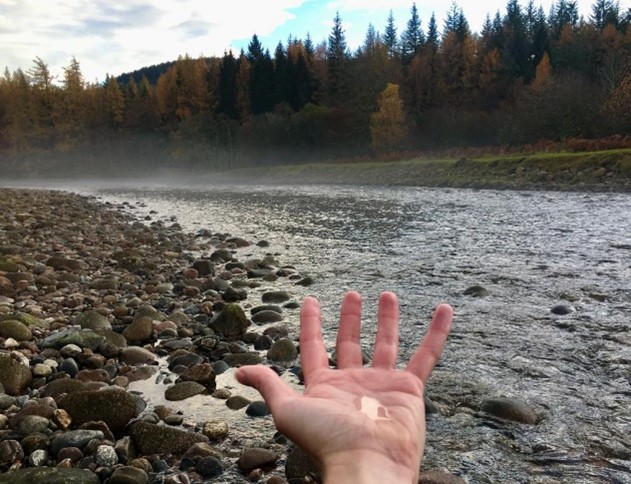 A picture of a hand holding water on the bank of a river