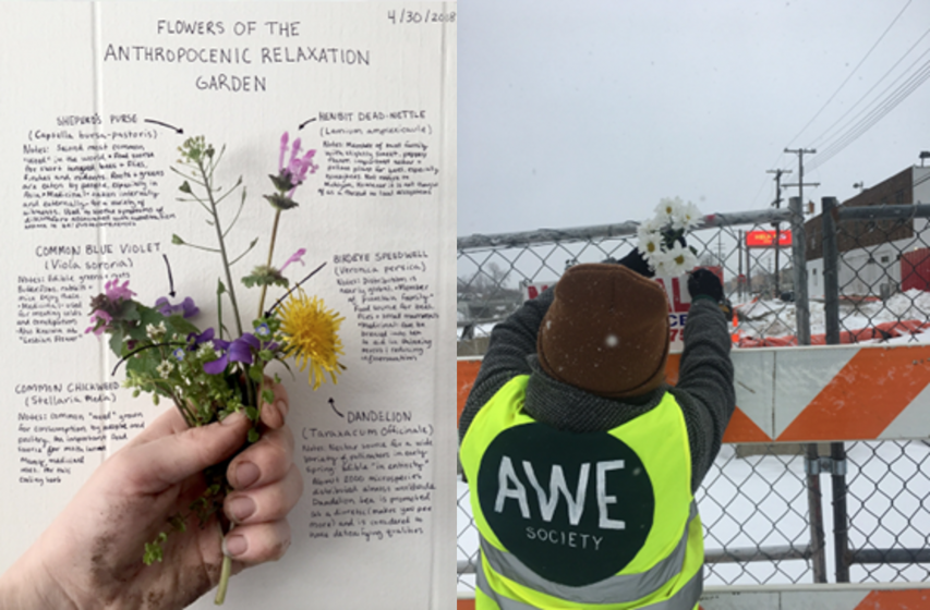 Left: A hand holding a bunch of flowers in front of a paper labelling each type Right: A person holding flowers in front of a fence in the snow