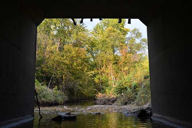 A view from a tunnel of a river through trees