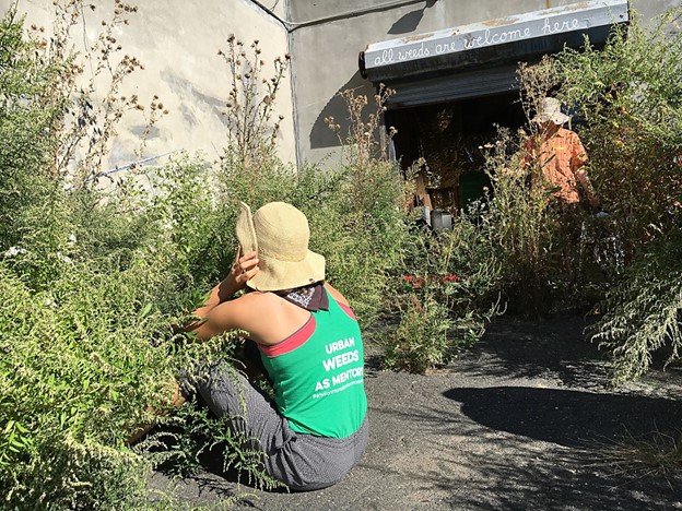 A person sitting in a garden