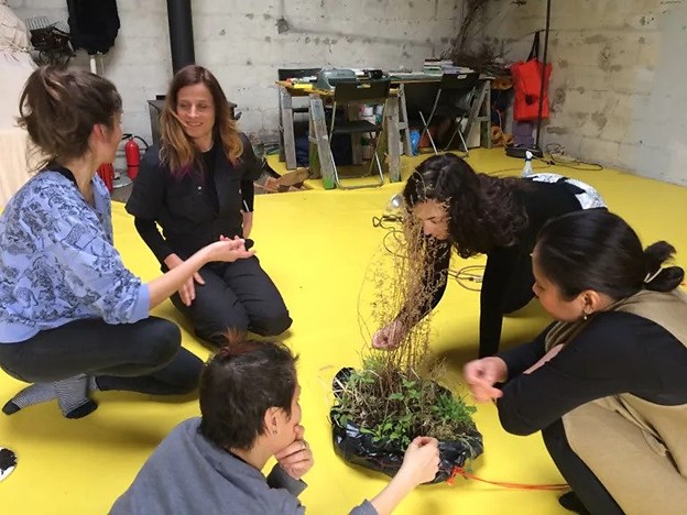 A group of people sitting around a plant