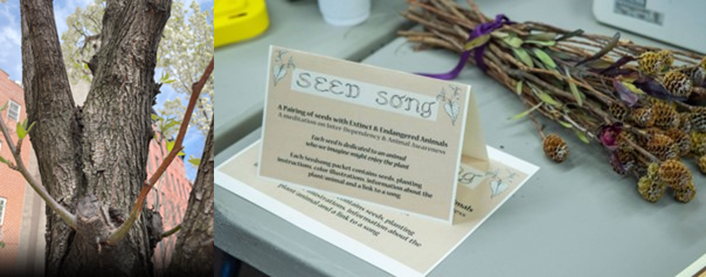 Left: A tree trunk with a tree trunk in front of a brick building. Right: A card with a note on it "Seed Song" in front of a dead bouquet