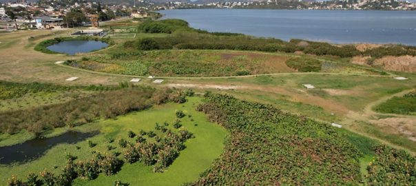 A green land with a body of water