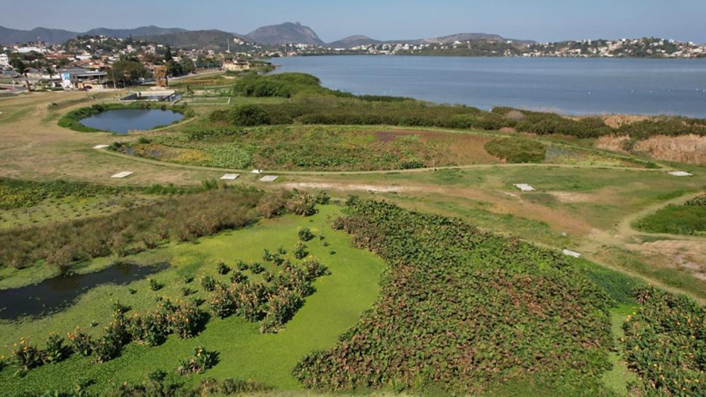 A green land with a body of water