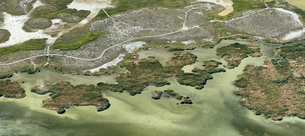 An aerial view of a marshy area