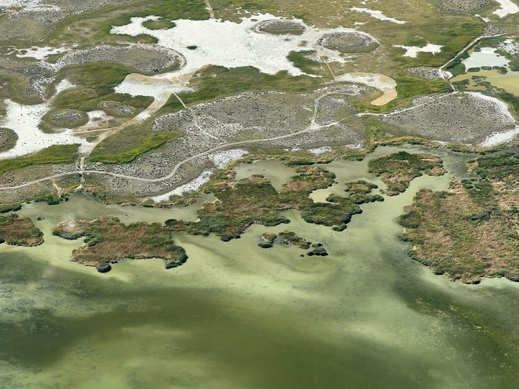 An aerial view of a marshy area