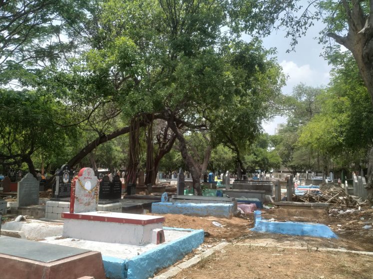 A raised cemetery with trees