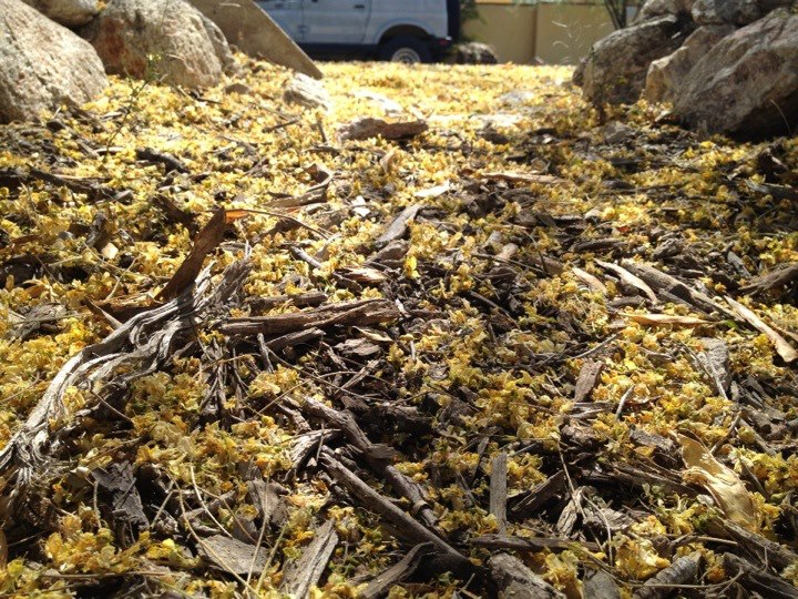 A pile of broken down wood chips