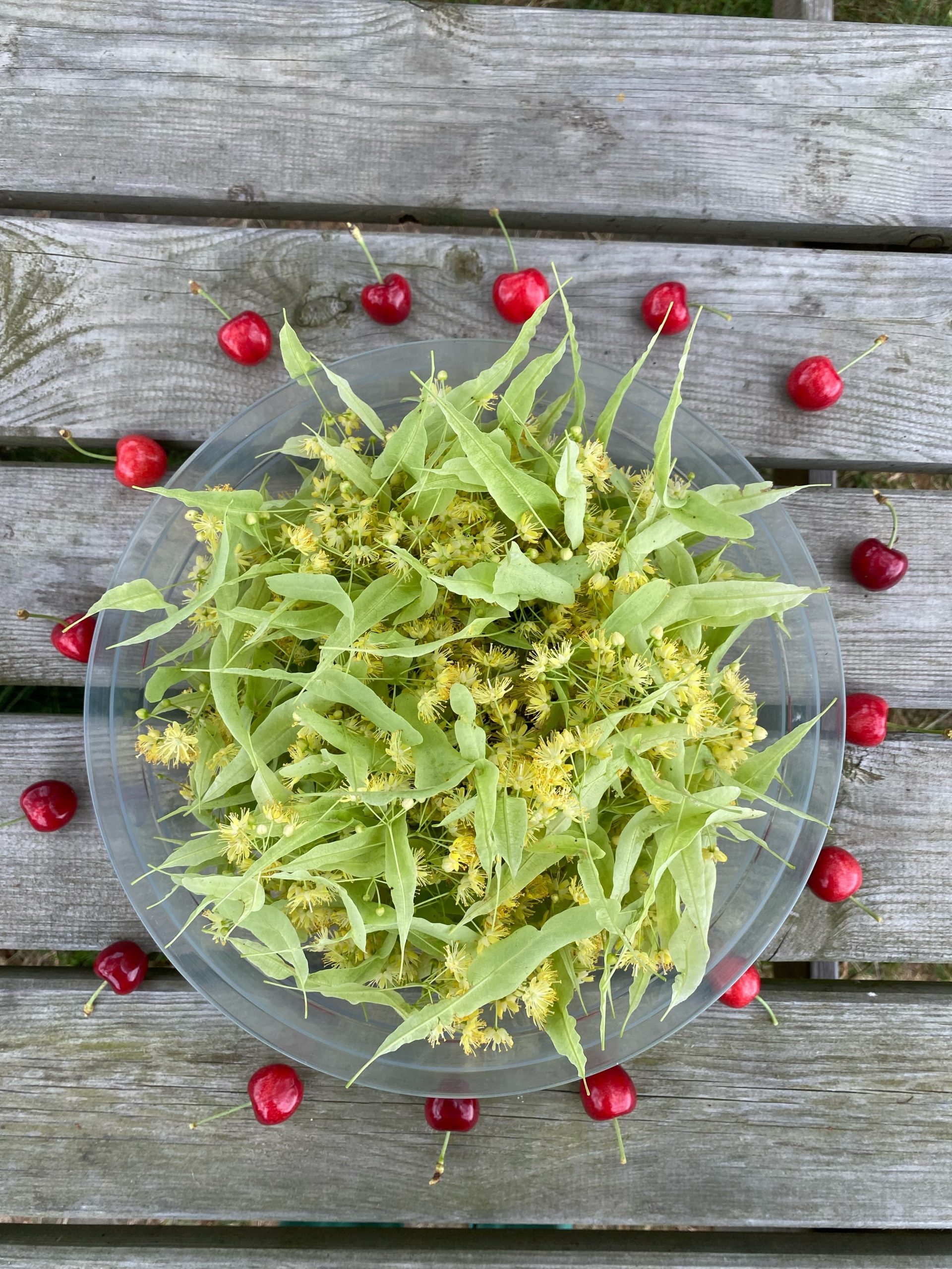 A bowl of leaves and cherries on a wood surface