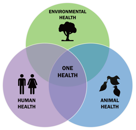A venn diagram depicting human health, animal health, and environmental health
