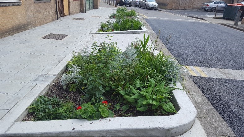 Planter boxes on the side of a street