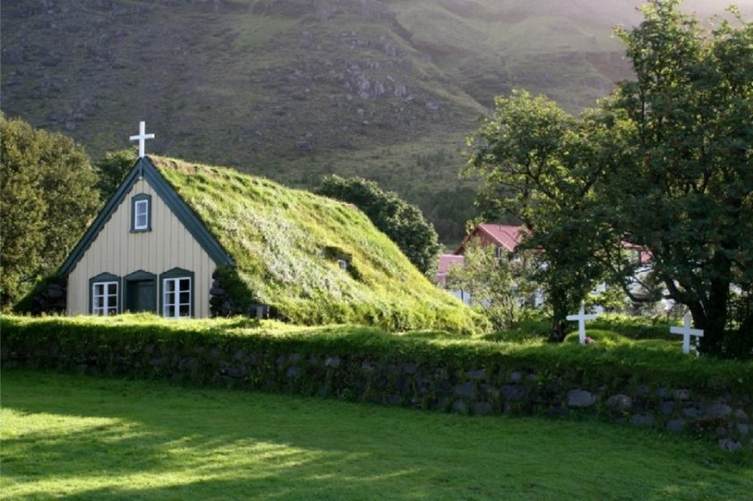 A small building with grass on the roof