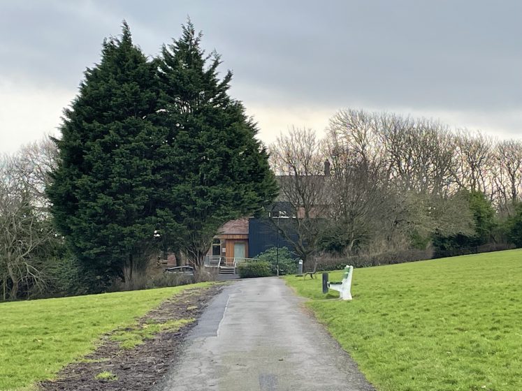 A path through a vibrant green field leading to a house surrounded by trees