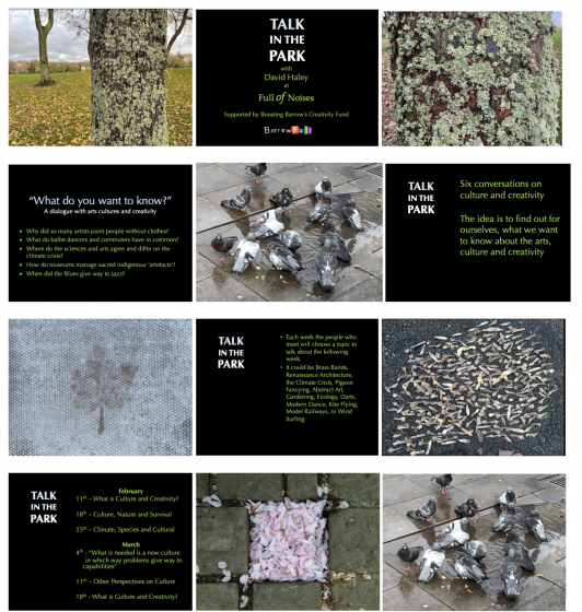 Several screenshots of a powerpoint presentation with pictures of tree bark, pigeons, seeds on the ground, and flower petals gathered in a crack in the ground