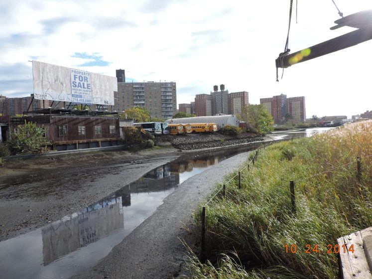 A flooded walkway with vegetation on either side and a city in the background