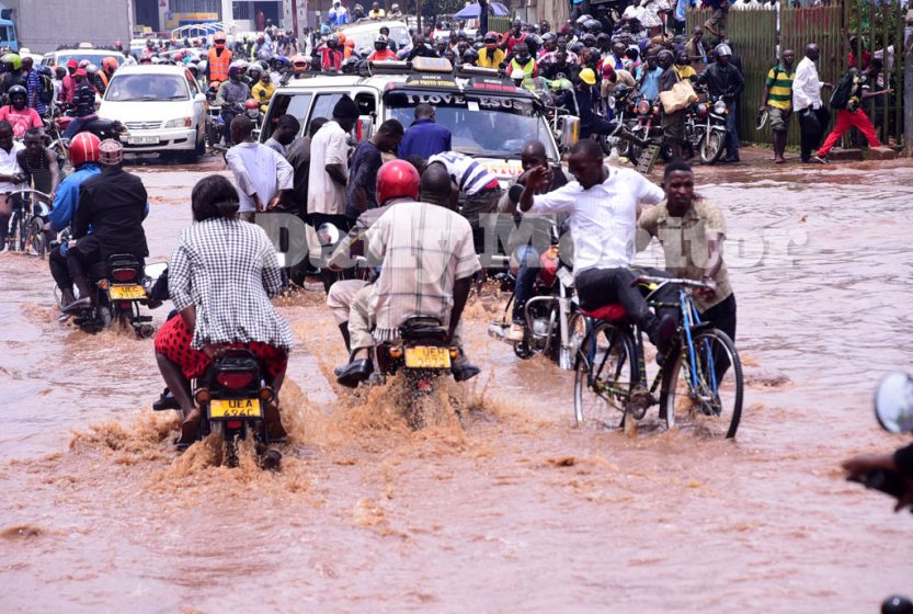 A group of people on bikes and motor scooters driving down a flooded street