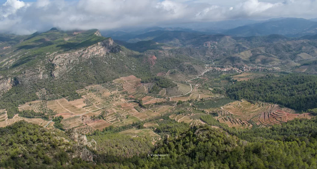 A aerial view of a valley full of farmland