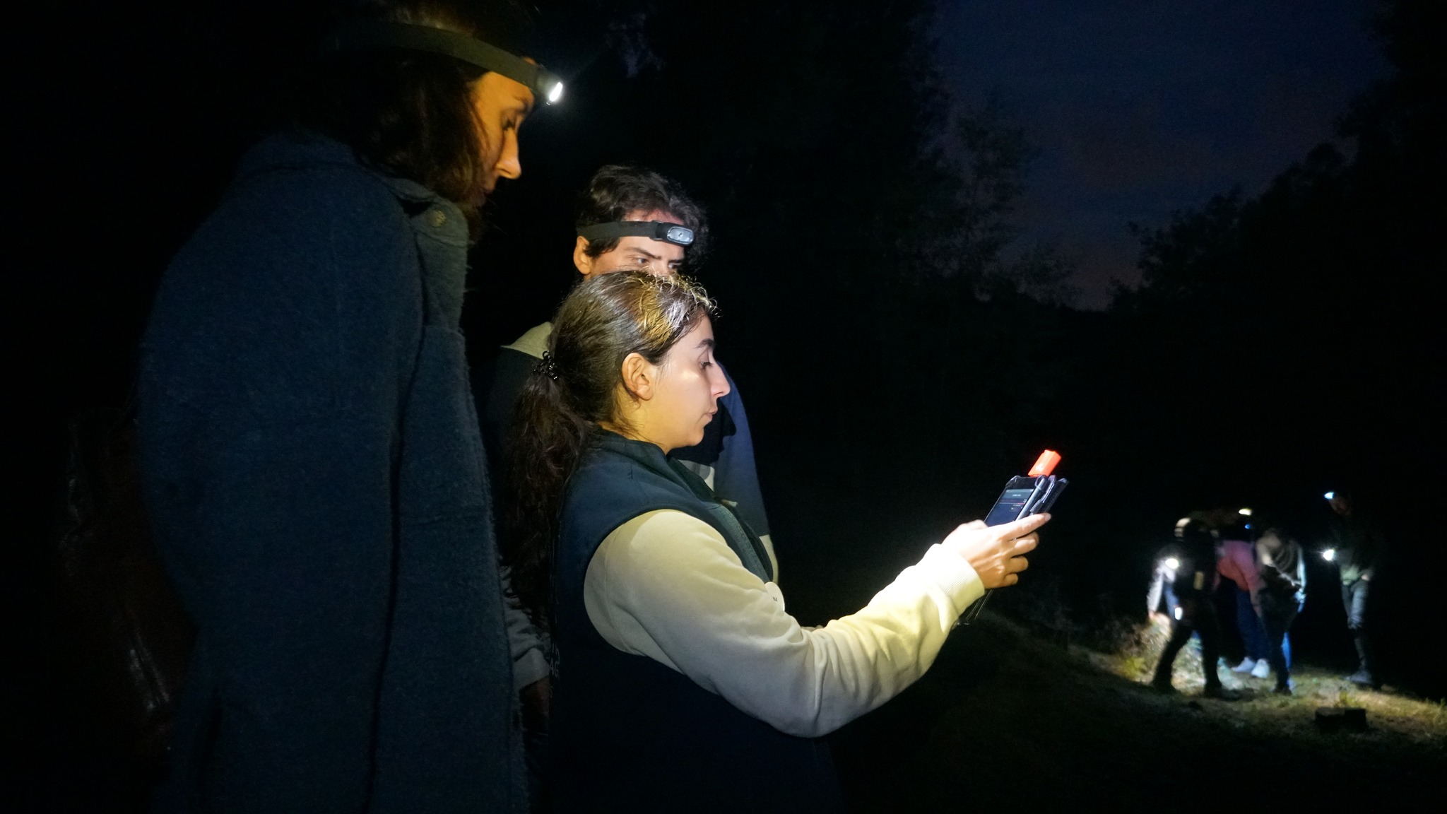 A picture of people with headlamps researching outside in the dark