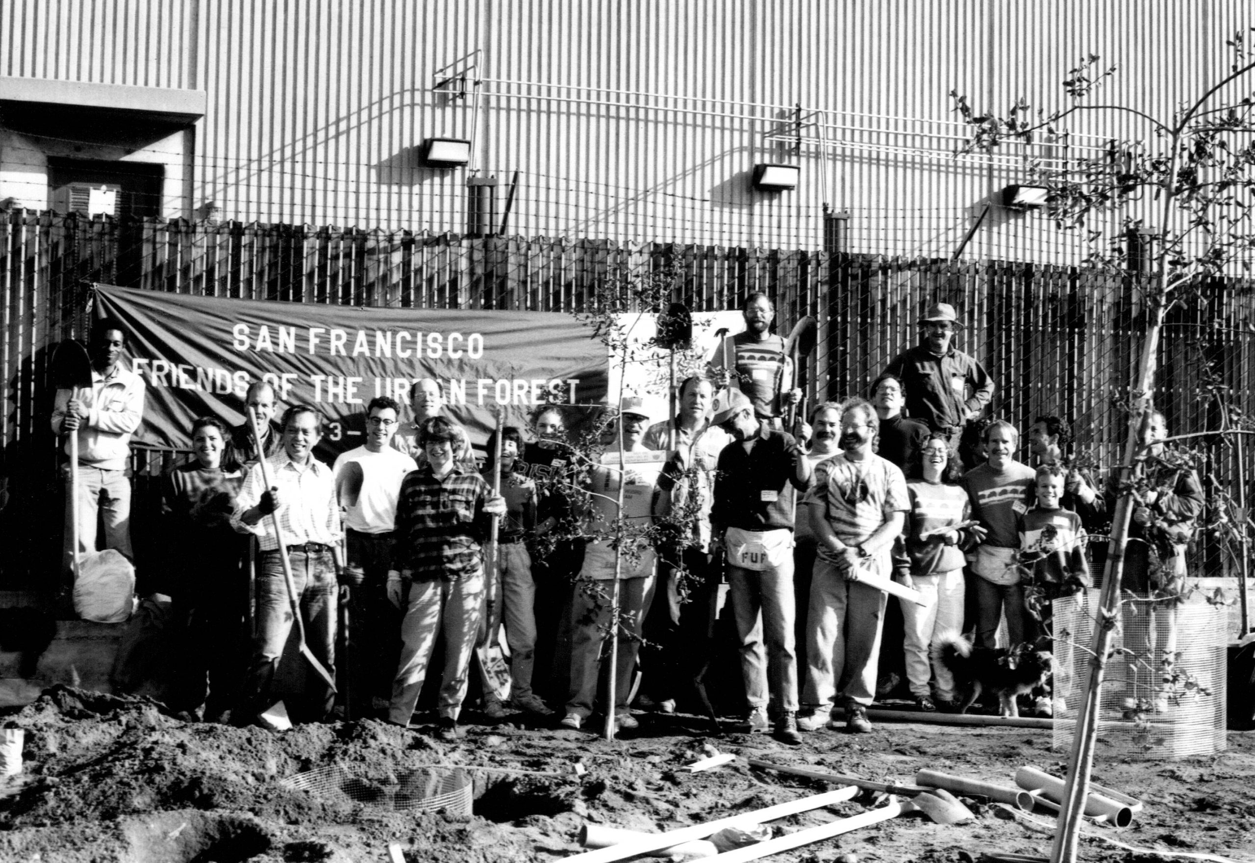 A black and white photo of a group of people standing with shovels in front of a tarp full of uprooted saplings