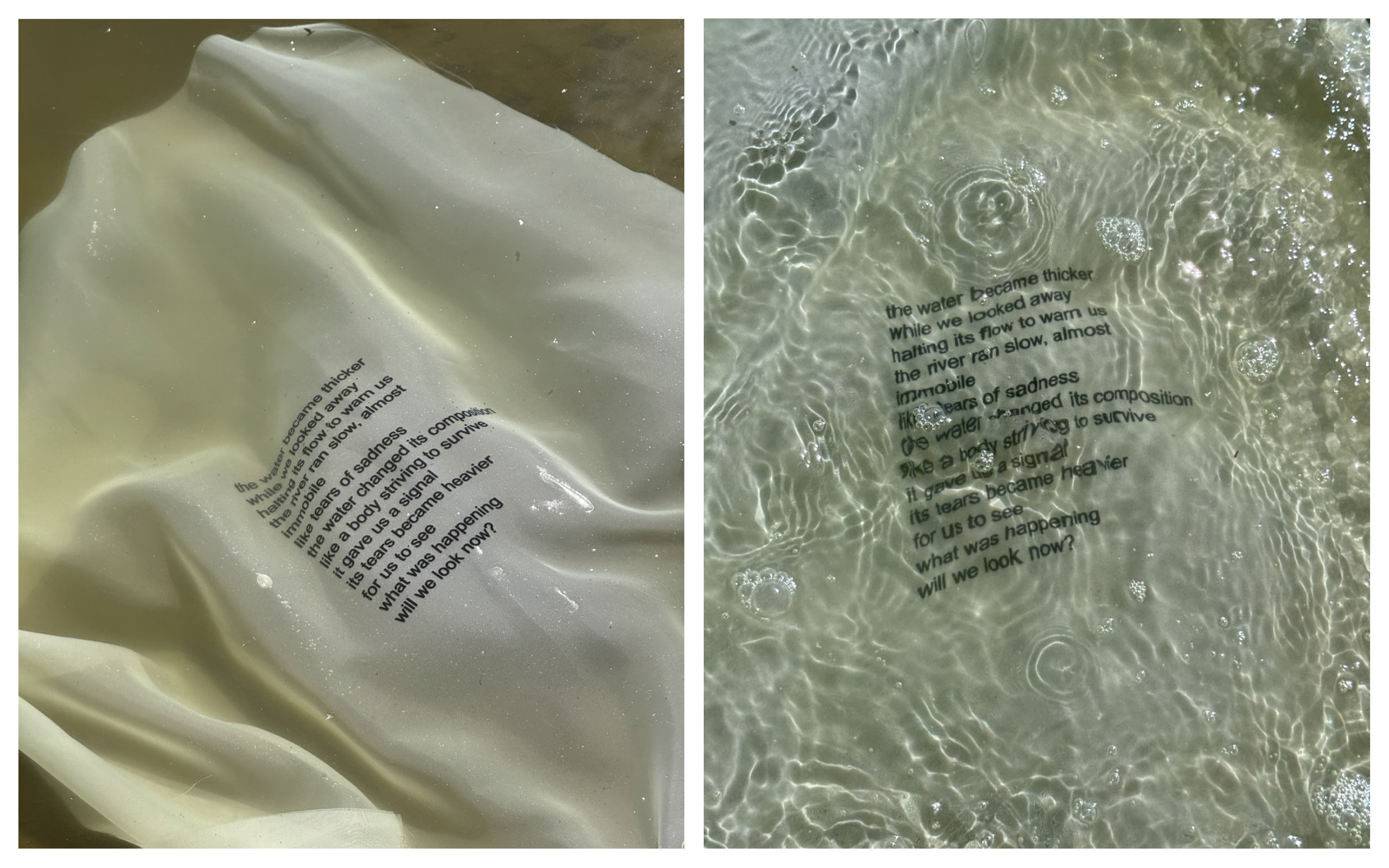 A poem printed onto a rubber-like sheet submerged in water