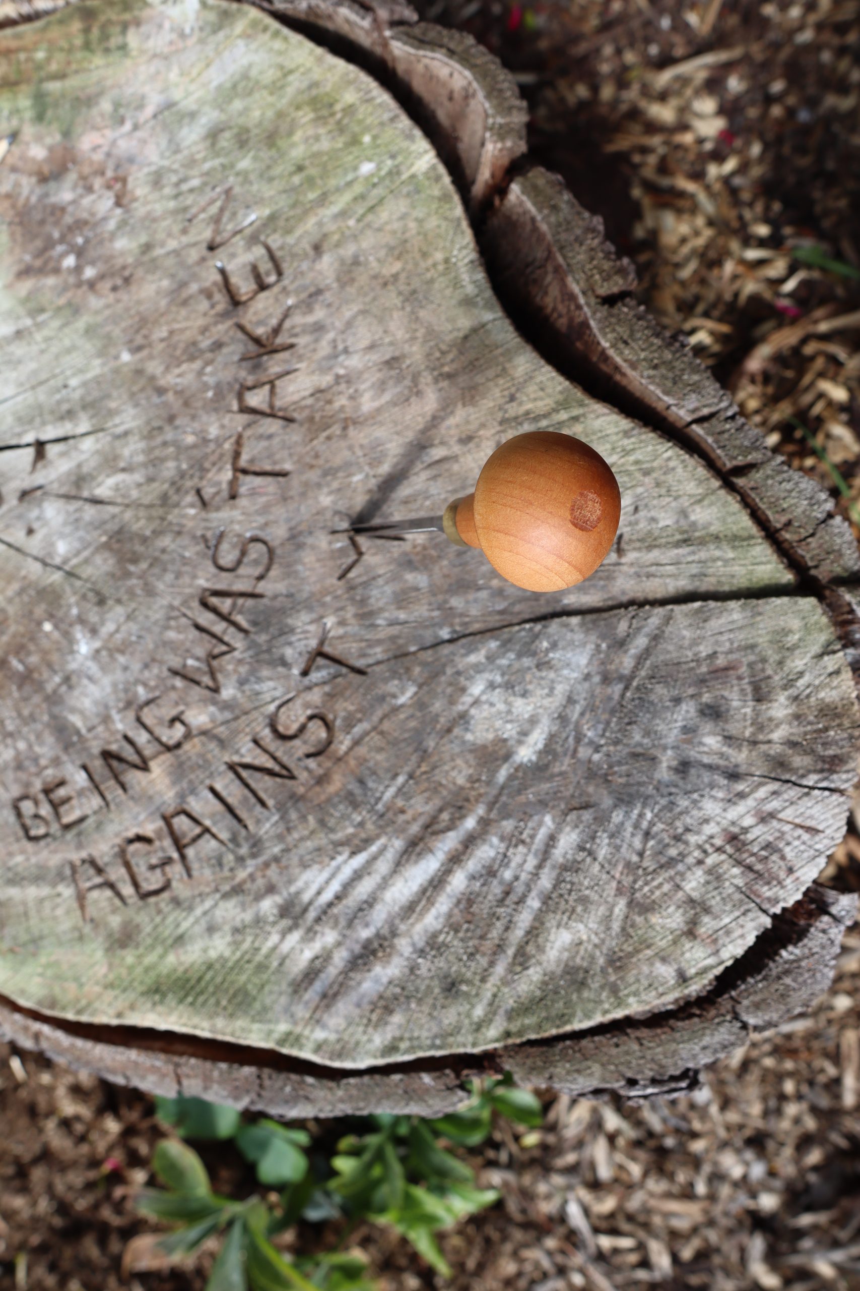 A tree stump with a wood carving tool and the words "being was taken against" carved into it